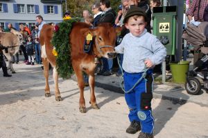 Jungzchter_04